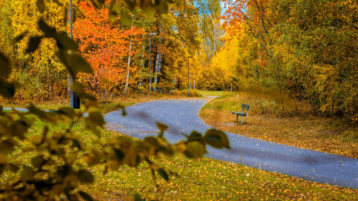 �1759673 �������(a): ����������:2871x1607